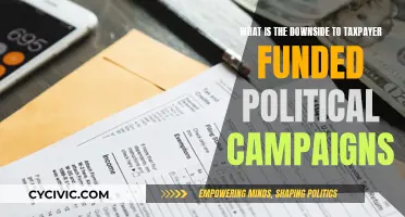 Tax-Funded Campaigns: Buying Influence and Silencing Challengers?