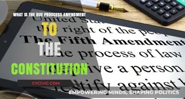 The Due Process Amendment: Understanding Your Rights