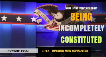 Incomplete Trust Constitution: What Are the Implications?