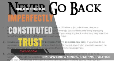 Trusts: Imperfect Constitutions, Big Legal Consequences