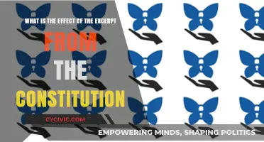 Excerpt Impact: Constitution's Influence