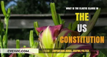 The Elastic Clause: Understanding the US Constitution's Flexibility