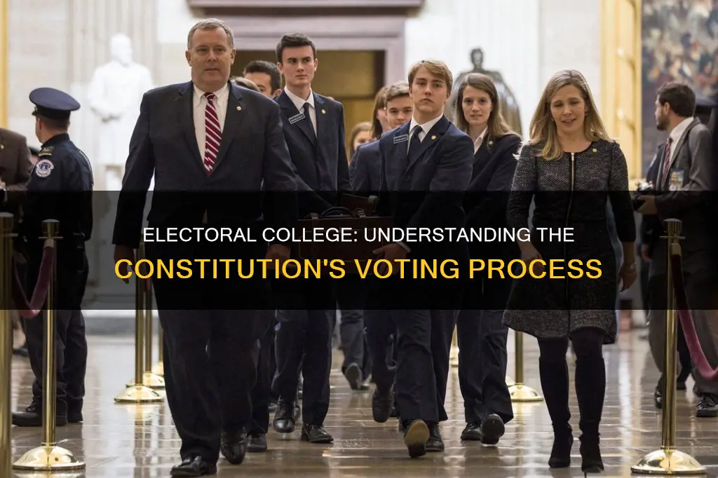 what is the electoral college in the constitution