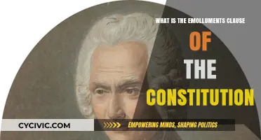 Understanding the Emoluments Clause of the US Constitution