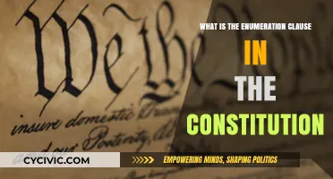 Enumeration Clause: Defining Federal Powers