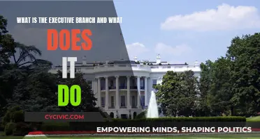 The Executive Branch: Power, Roles, and Responsibilities