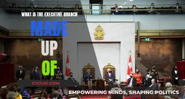 The Executive Branch: Who's Who and What's What