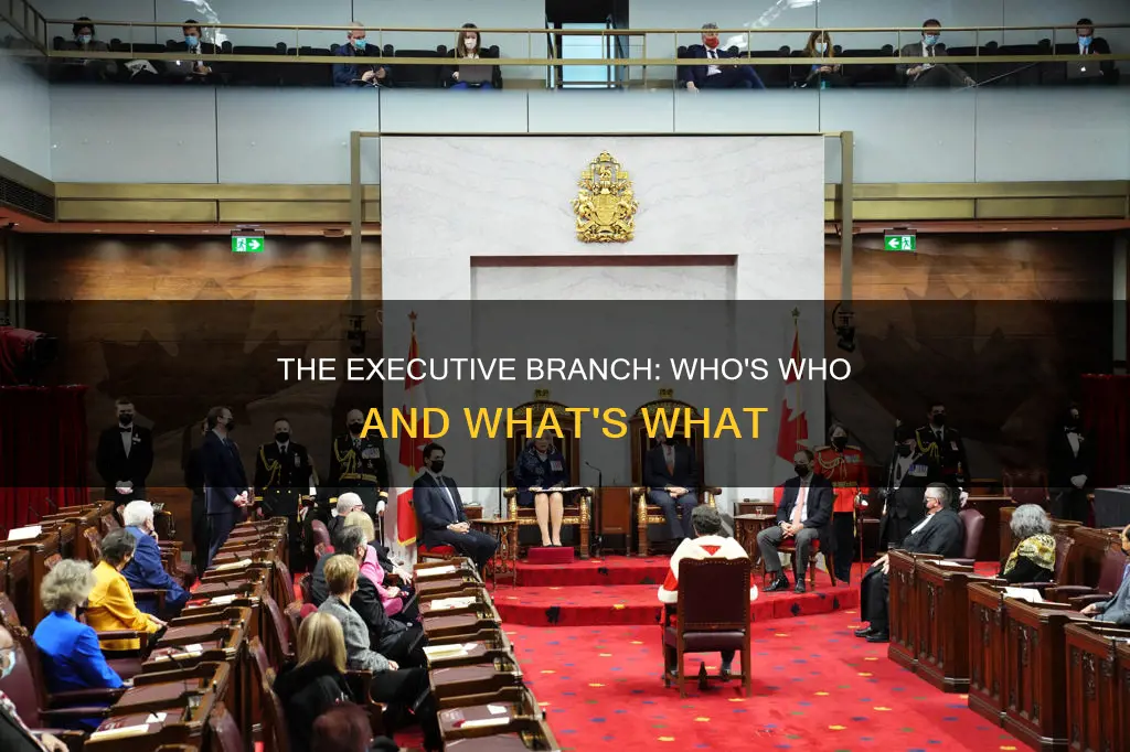 what is the executive branch made up of
