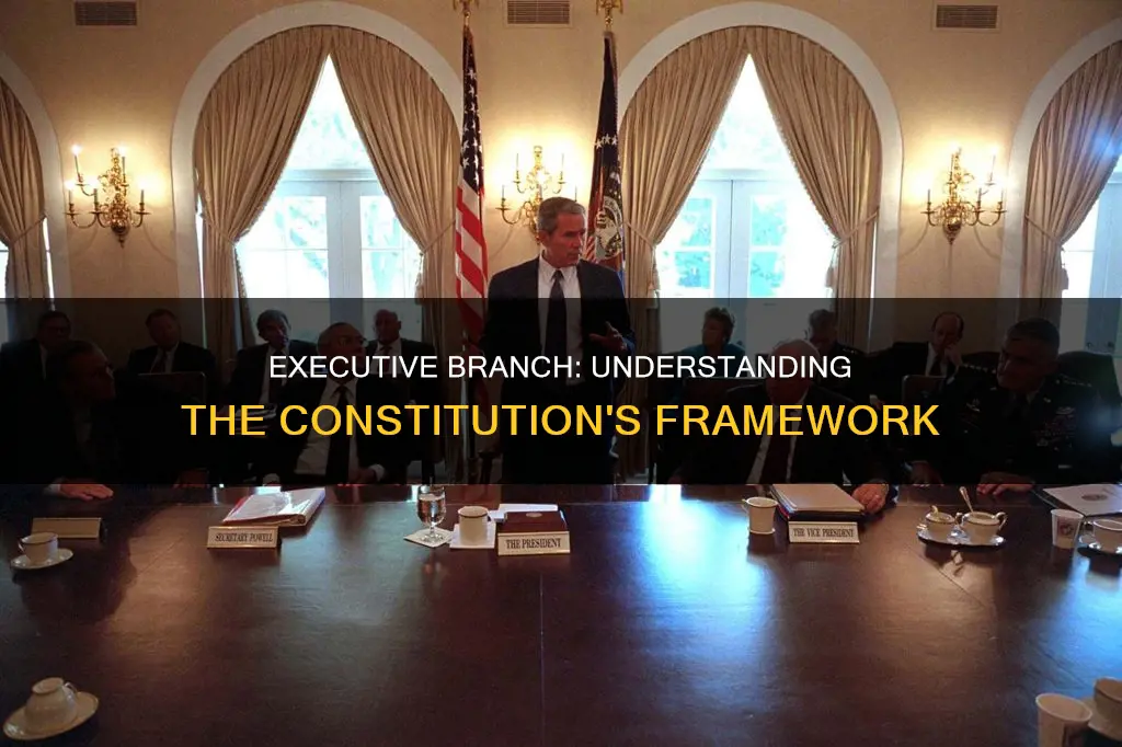 what is the executive branch under the constitution
