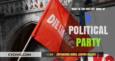 Understanding the Far Left Wing: Ideologies, Goals, and Political Impact