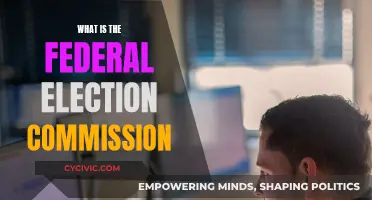 Federal Election Commission: What's Its Role?