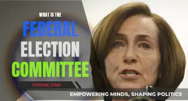 The FEC: Governing US Elections and Campaign Financing