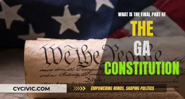 The Georgia Constitution's Final Part: Understanding the Last Words