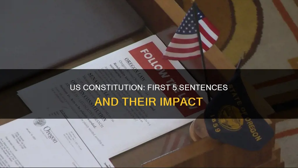 what is the first 5 sentences of the us constitution
