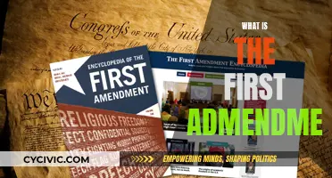The First Amendment: Understanding America's Fundamental Freedoms