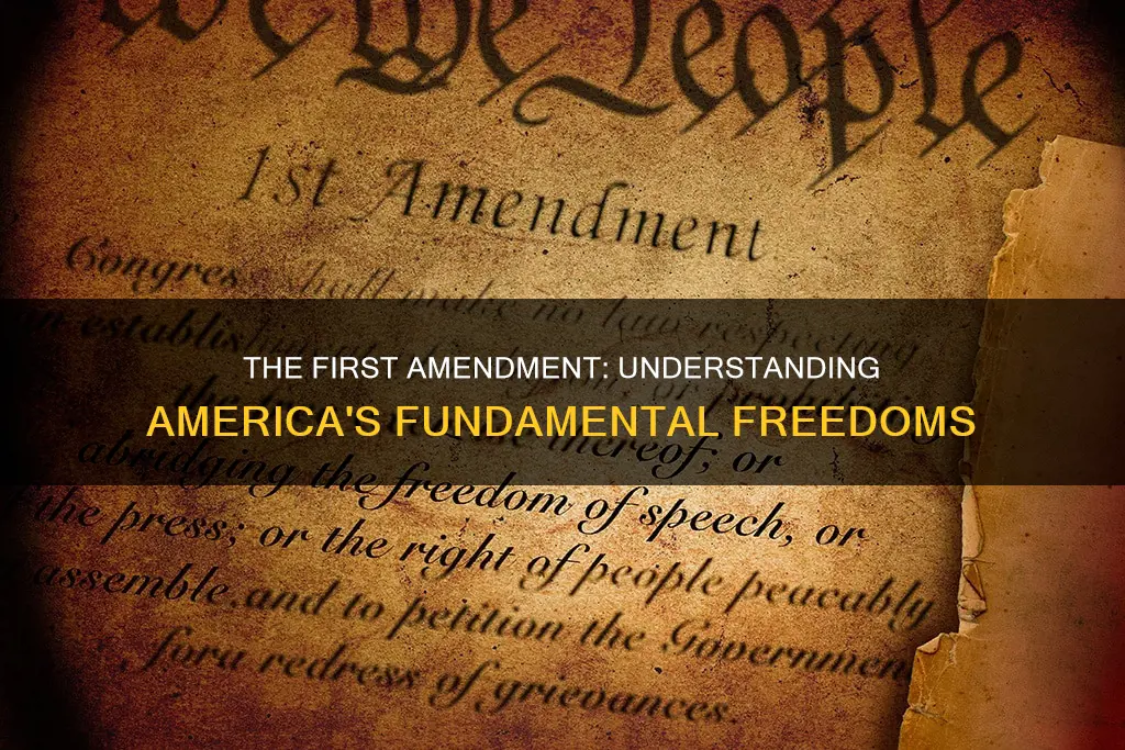 what is the first admendmen