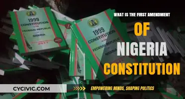 Exploring Nigeria's First Amendment: Freedom and Rights