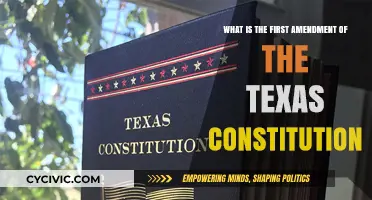 Texas Constitution: Understanding the First Amendment