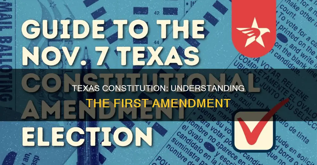 what is the first amendment of the texas constitution