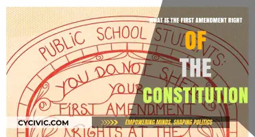 Understanding the First Amendment: Your Right to Freedom