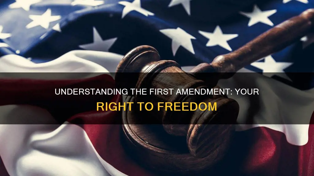 what is the first amendment right of the constitution