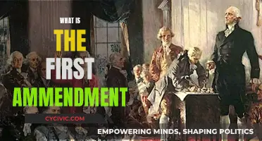 Understanding the First Amendment: Freedom's Foundation