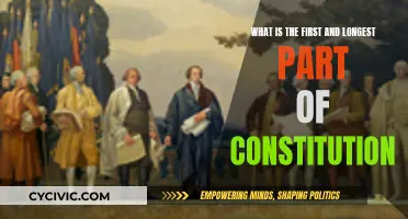 Exploring the Constitution's Lengthiest and Inaugural Section