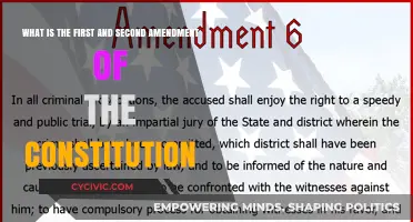 Amendments: Freedom of Speech and the Right to Bear Arms