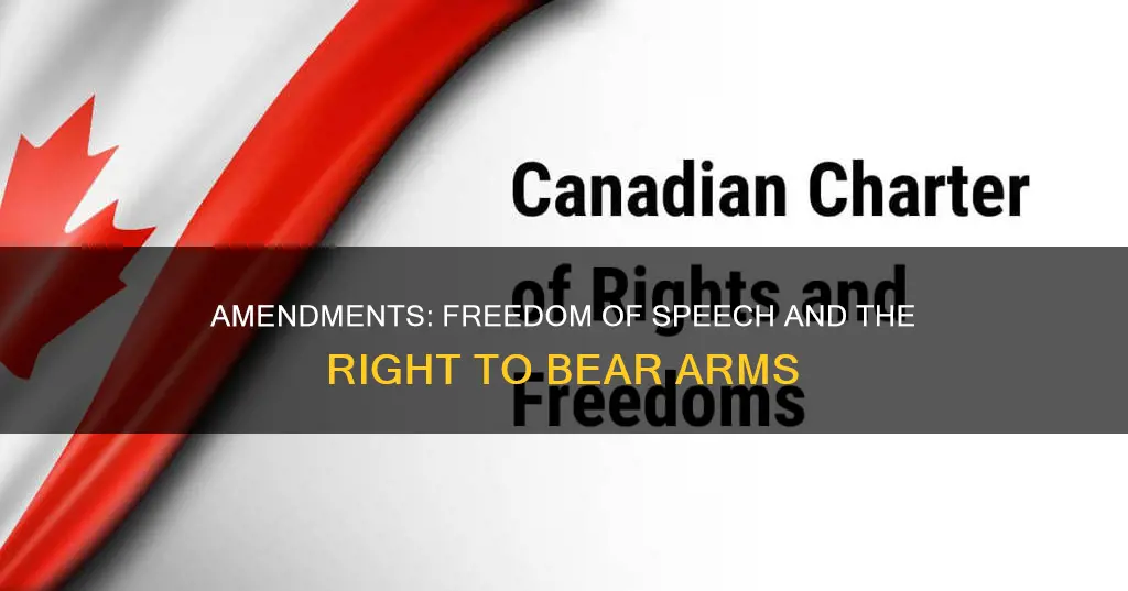 what is the first and second amendment of the constitution