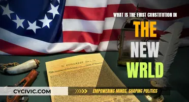 The First Constitution: A New World Order