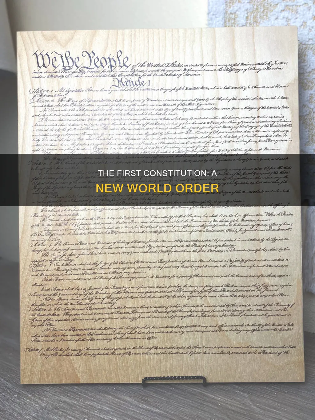 what is the first constitution in the new wrld