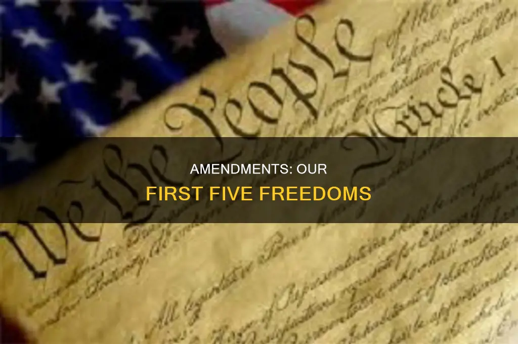 what is the first five amendments