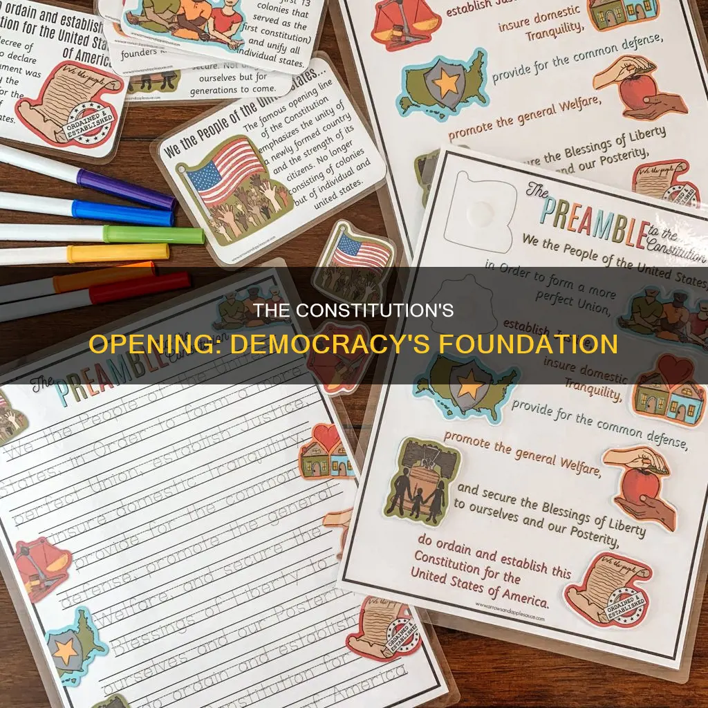 what is the first paragraph of the constitution