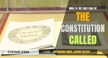 Exploring the Constitution's Intriguing Opening: The Preamble