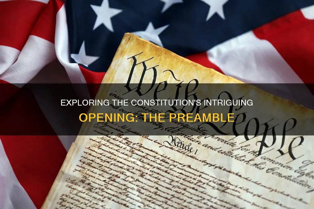 what is the first part of the constitution called