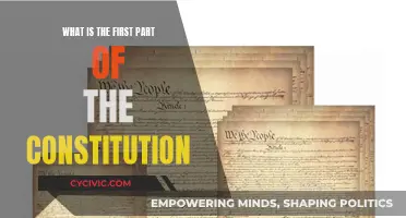 The Constitution's Foundation: Understanding the Critical First Steps