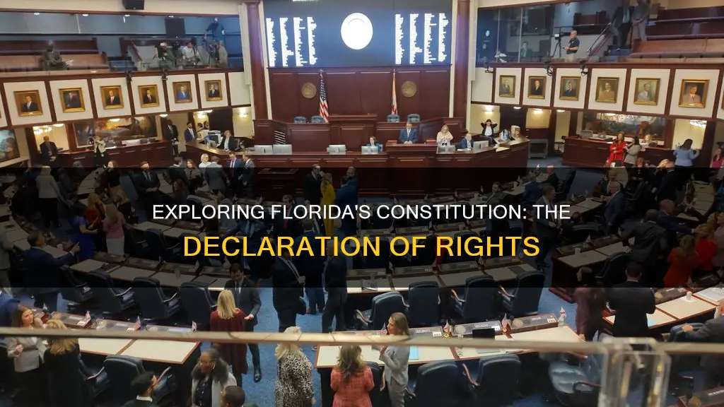 what is the first part of the florida constitution called