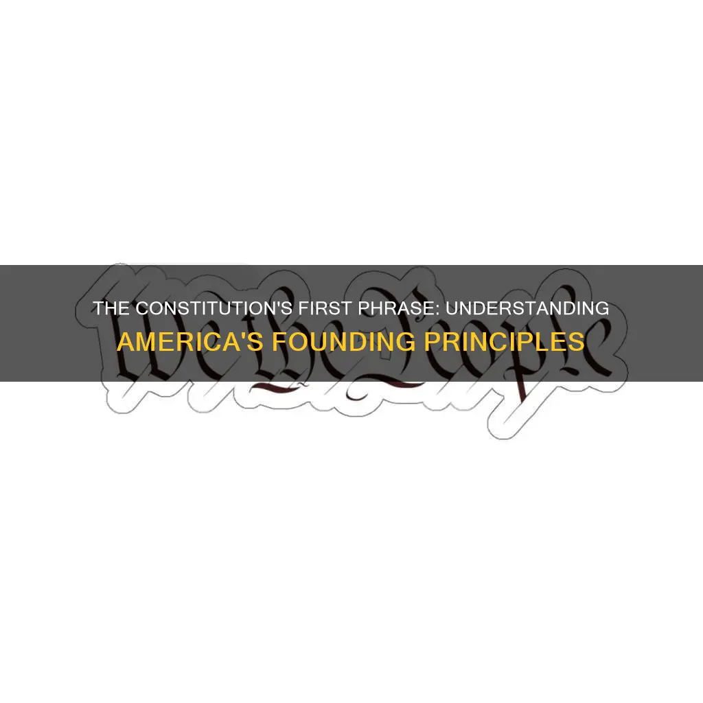 what is the first phrase in the constitution