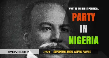 The Birth of Nigeria's First Political Party: A Historical Overview