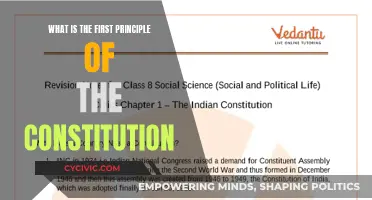 The Founding Principle: Understanding the Constitution's Core