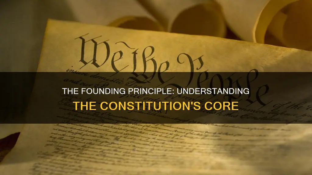 what is the first principle of the constitution