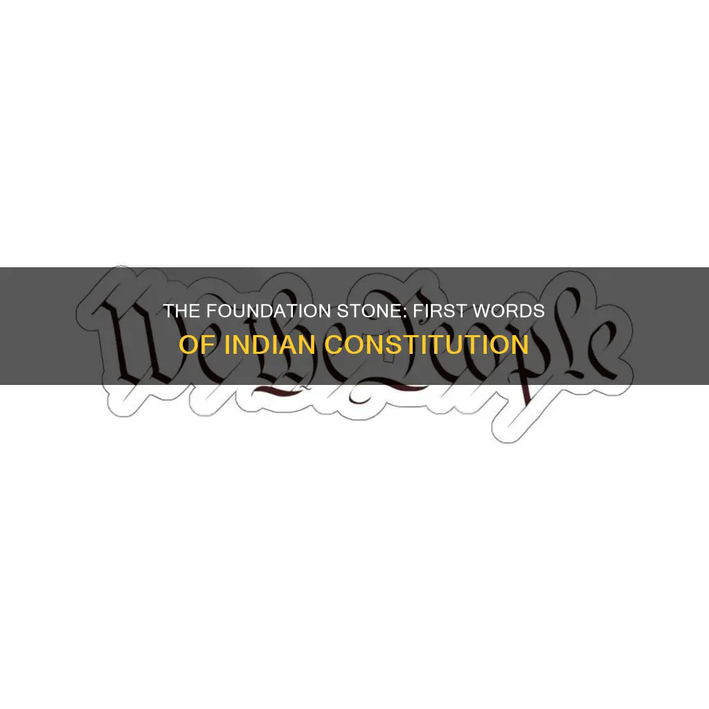 what is the first sentence of the indian constitution