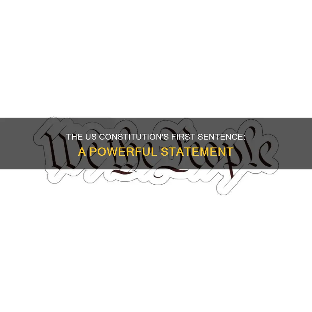 what is the first sentence of the us constitution