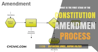 The First Step: Proposing Constitutional Amendments