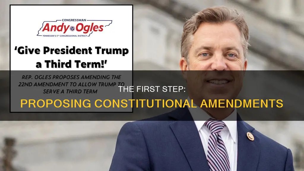 what is the first stage of the constitutional amendment process