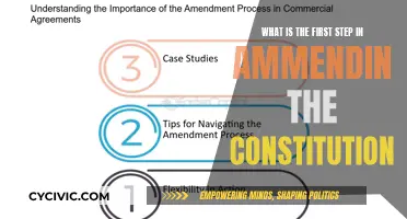 Amending the Constitution: Initiation and its Complexities