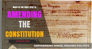 The First Step to Amending the Constitution
