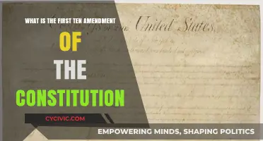 Amendments: The Constitution's First Ten