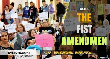 Understanding the First Amendment: Free Speech Fundamentals