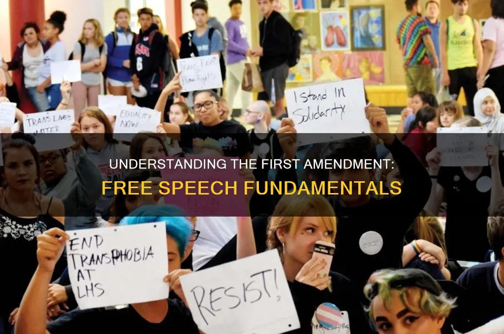 what is the fist amendment